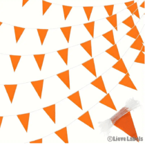 Vlaggenlijn oranje - 10 meter