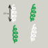 Herbruikbare statische raamsticker - Serpentine Groen/Wit