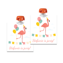 Printable | Knijpfruit | Flamingo